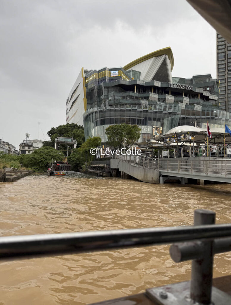 アイコンサイアムタイパンツ